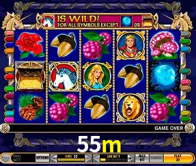 VIP Casino 55m